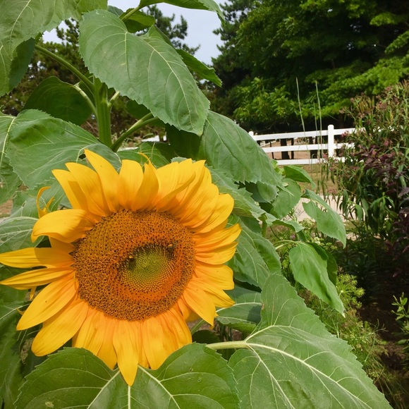 COPY - Meet your Posher, Amy - Picture 8 of 8